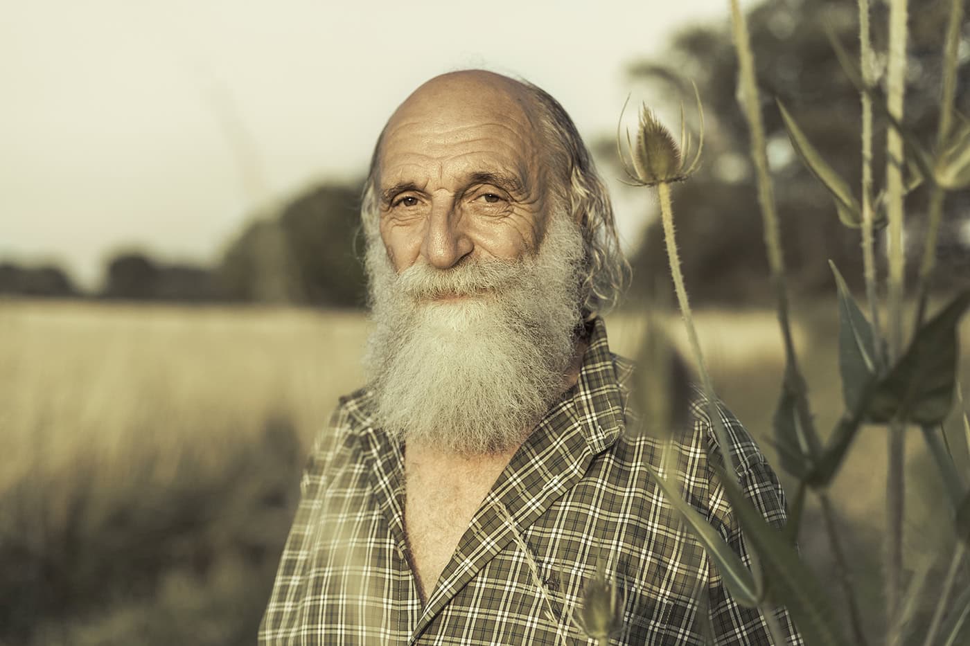 Älterer Mann in Feld mit Blumen, Naturfotografie, Michael Zellmer Fotografie Köln.