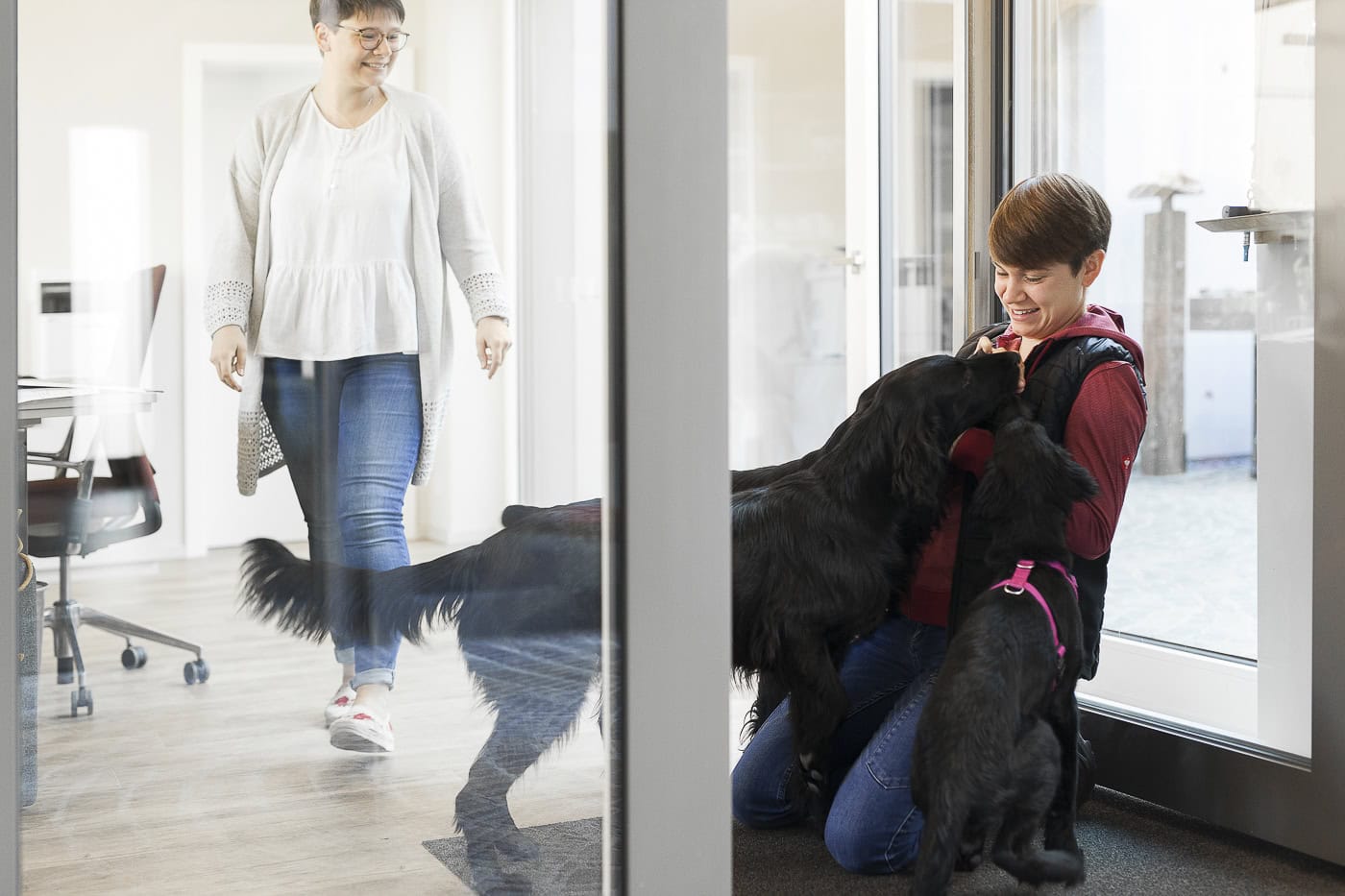 Hunde im Büro mit Frau und Kind, professionelle Tierfotografie in Köln.