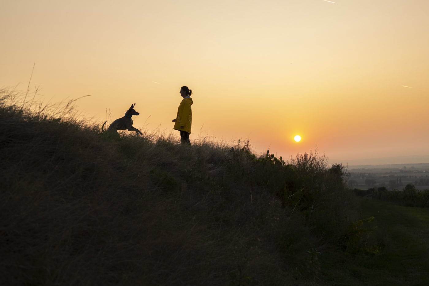Frau mit Hund bei Sonnenuntergang in der Natur, Landschaftsfotografie.