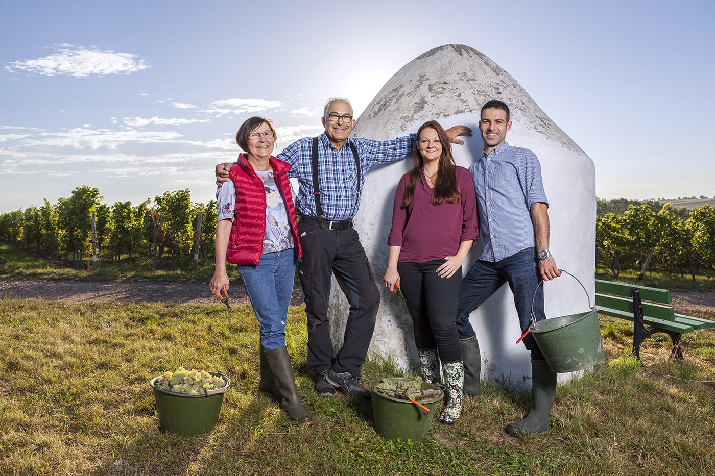 Familie beim Weinlese-Ernte in Weinberg, sonniger Tag, Natur, Wein, Landwirtschaft.