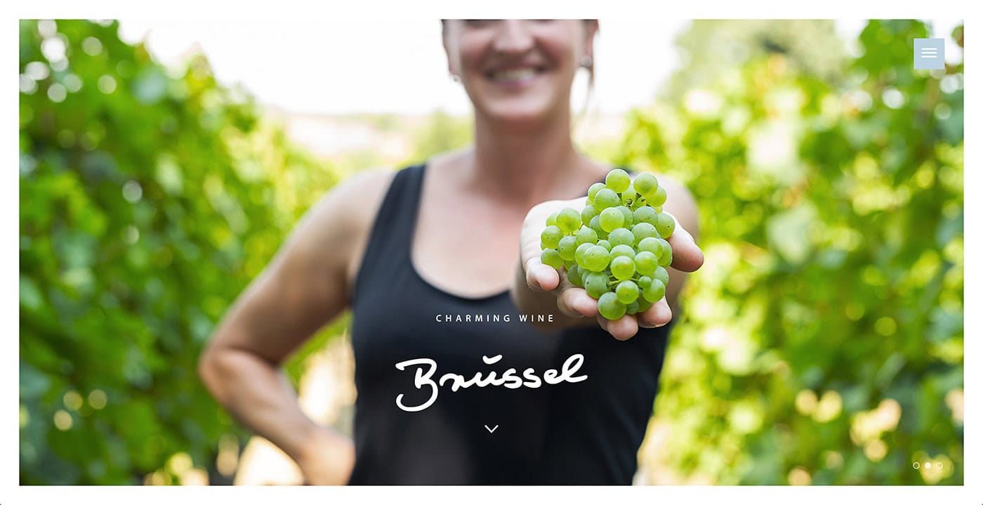 Frau hält grüne Weintrauben in der Weinregion Brüssel, sonniger Tag.