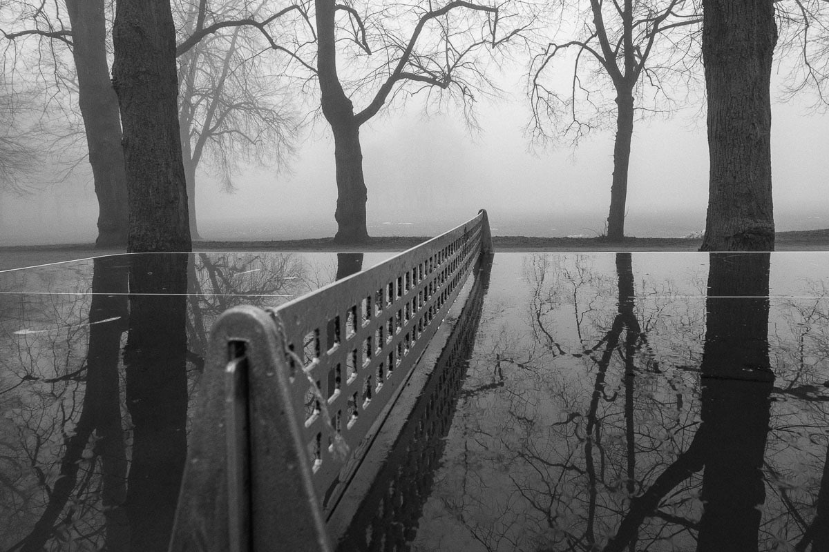 Nebeliger Parkweg mit Wasser spiegelnder Bäume in Köln, atmosphärische Fotografie.
