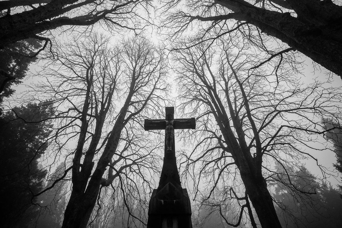 Mystischer Kreuz im nebligen Wald mit Baumkronen in Schwarz-Weiß.