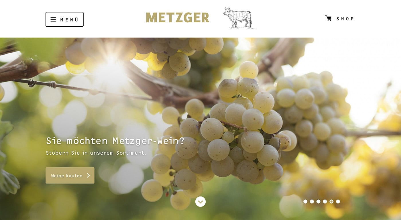 Alte Weintrauben am Weinstock, sonnendurchflutet, Nahaufnahme.