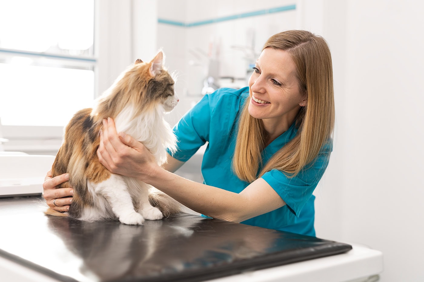 Hundefotografie in Köln, professionelle Tierfotografie, Haustierfotograf.