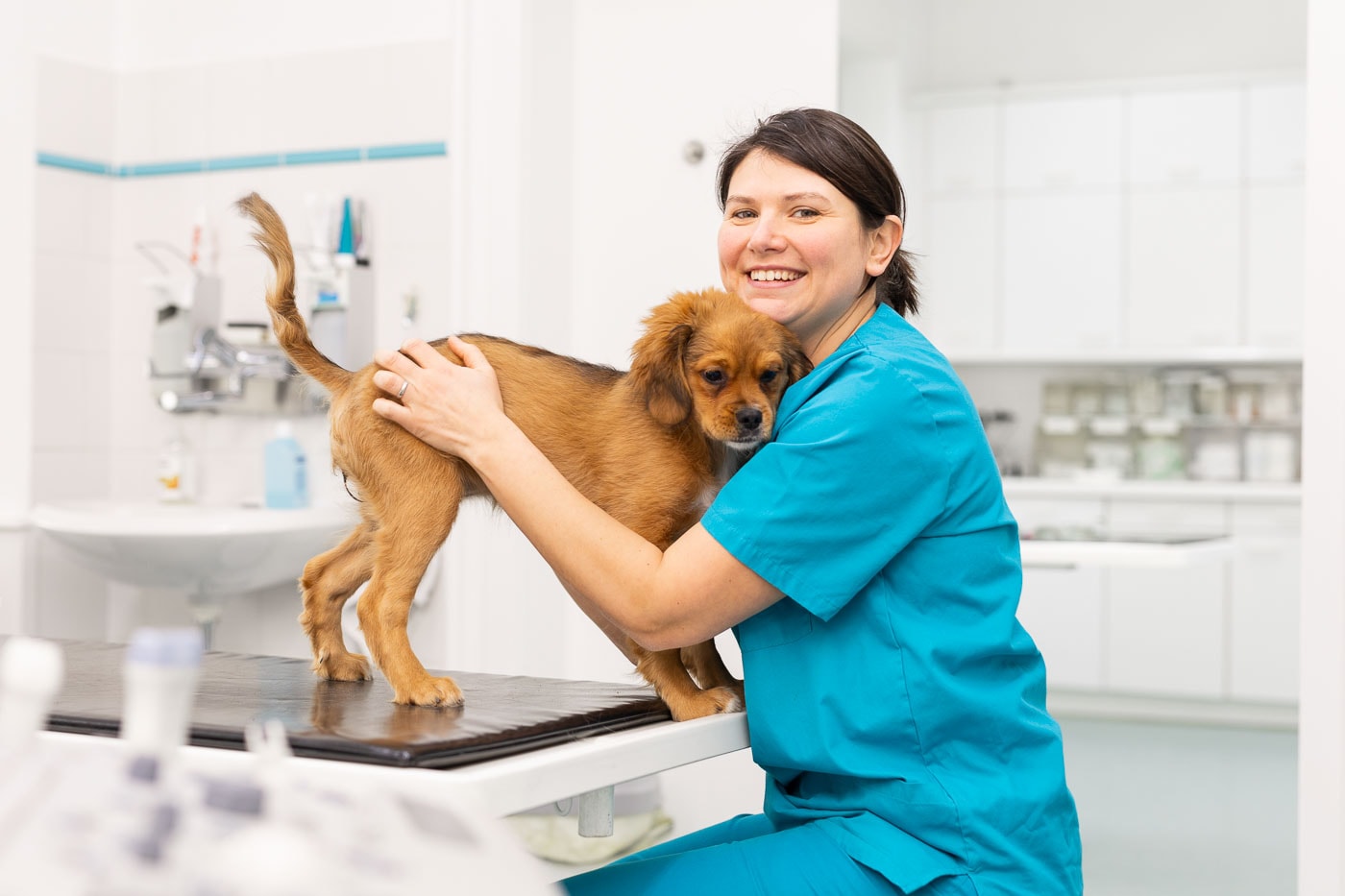 Tierärztin mit Hund in der Tierklinik, professionelle Tierfotografie.