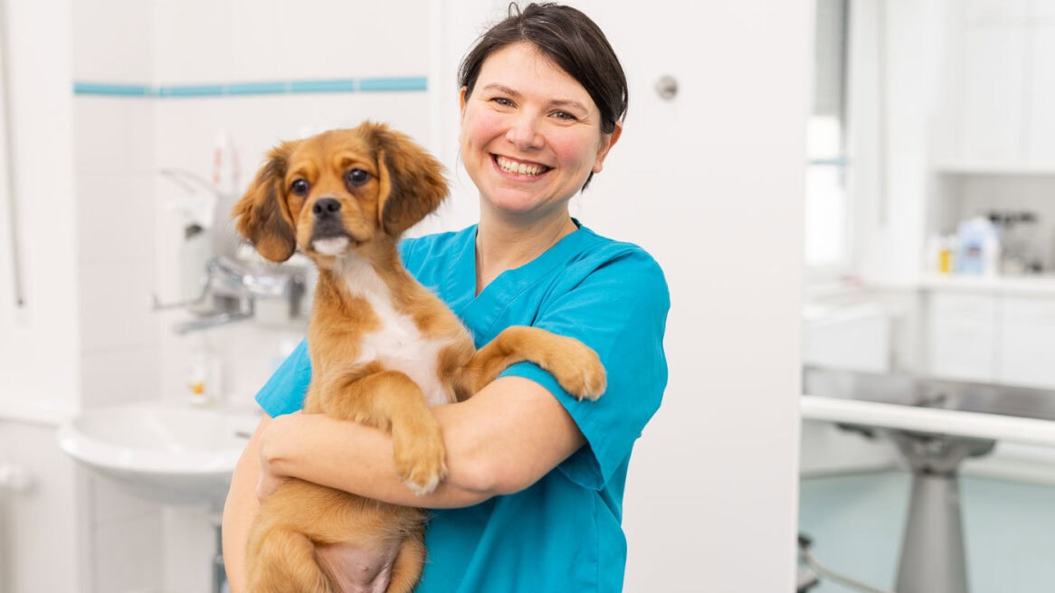 Tierärztin mit Hund in der Tierarztpraxis, professionelle Tiermedizin in Köln.