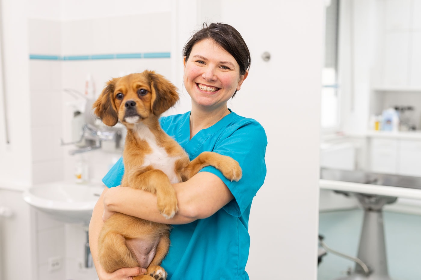Tierärztin mit Hund in der Tierarztpraxis, professionelle Tiermedizin in Köln.